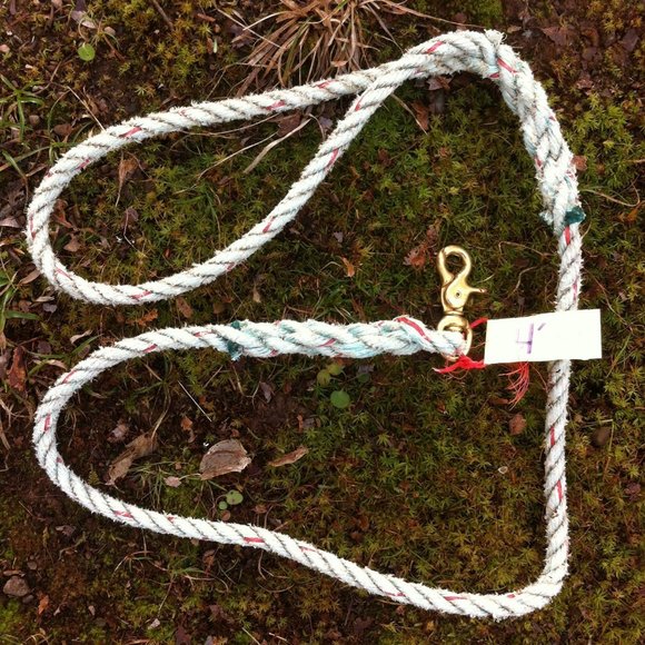 Rope Leash - Picture 1 of 1